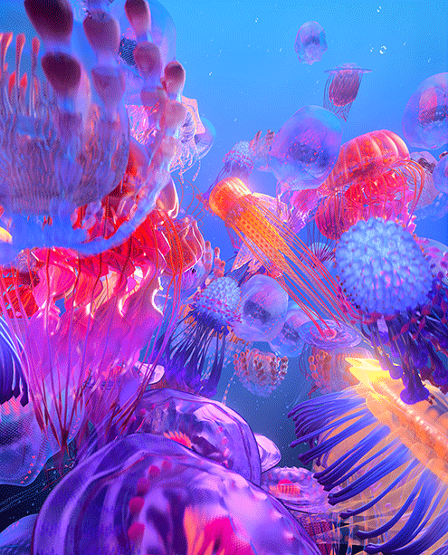 A group of jellyfish.