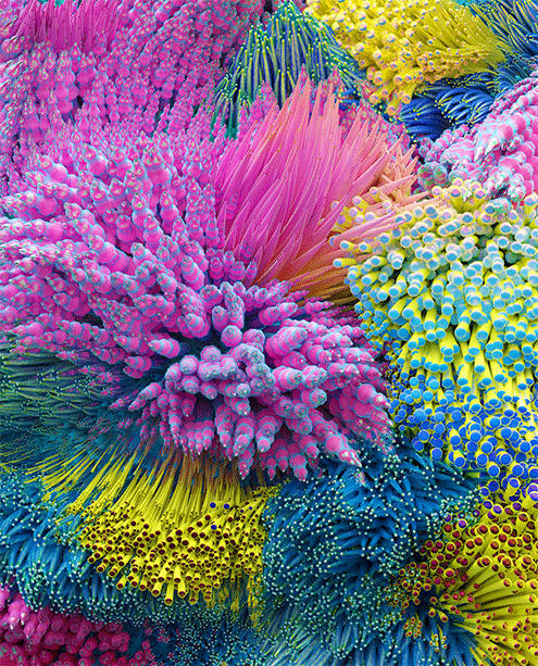 A close-up of some colorful yarn.