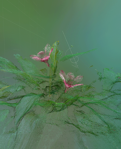A plant with a flower.