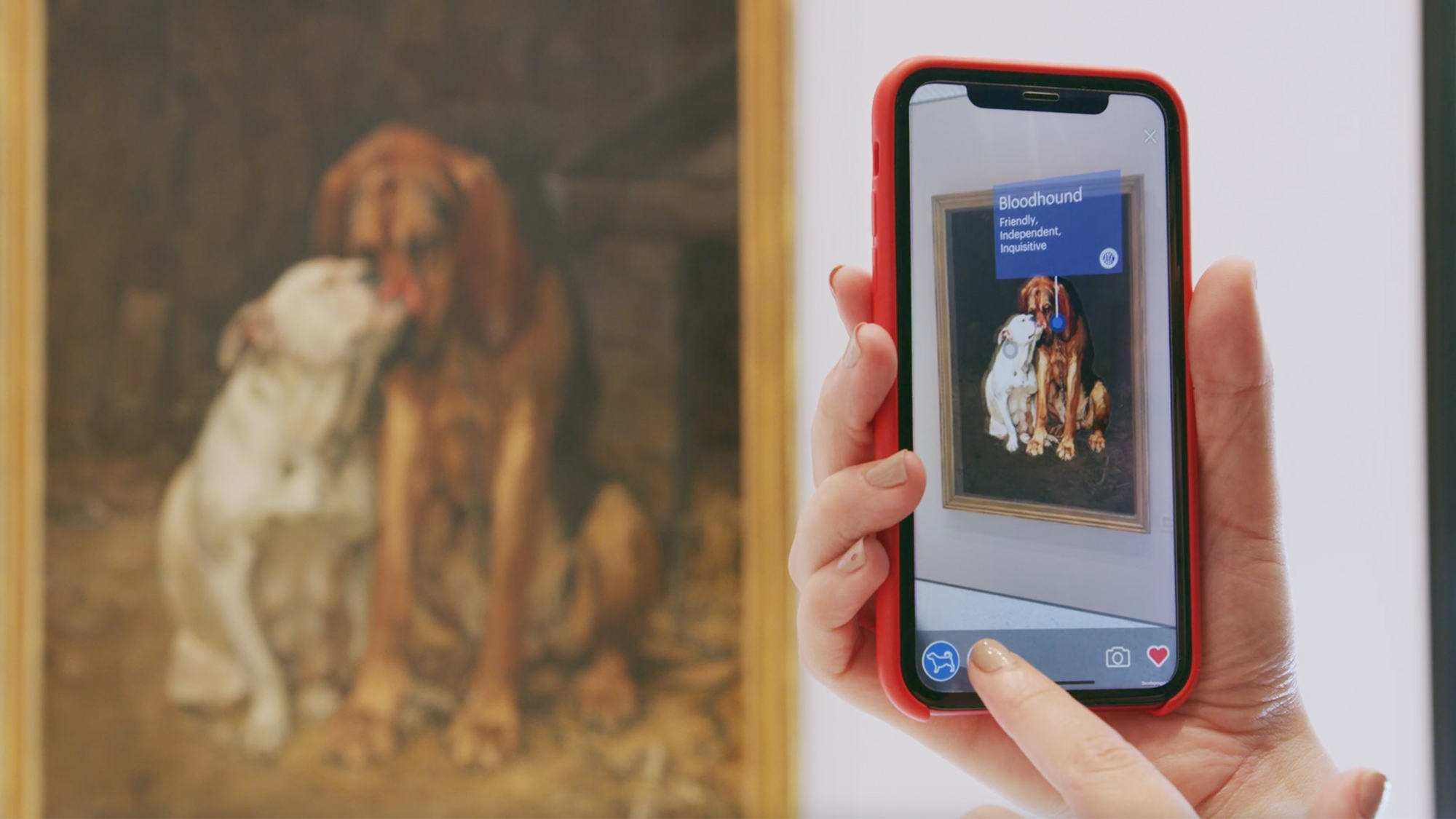 AKC Museum of Dog mobile app close-up
