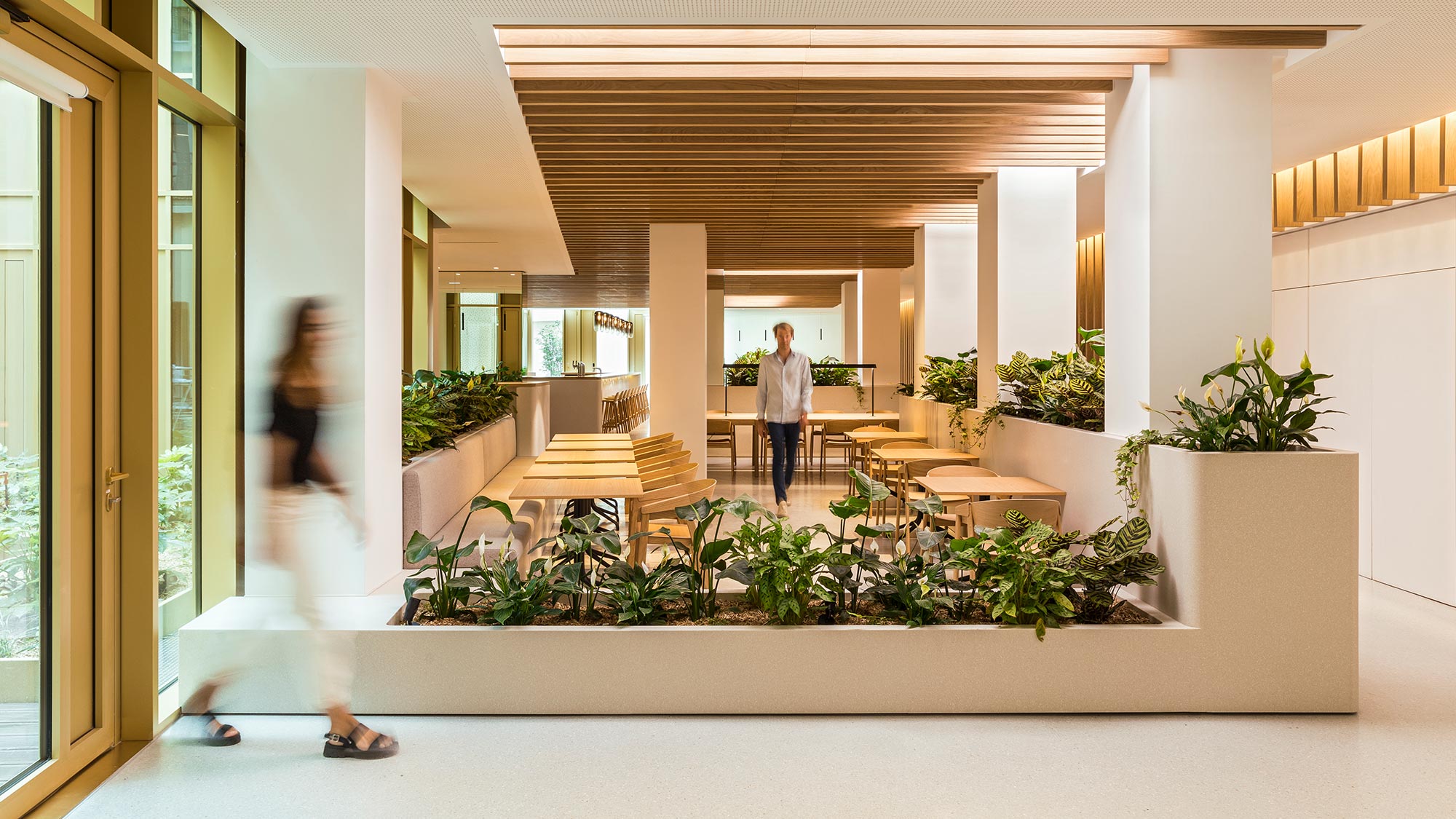 22 Bayard entryway with biophilia