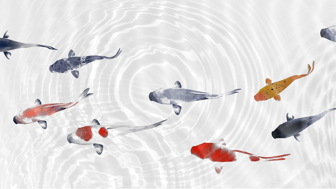A group of fish swimming.