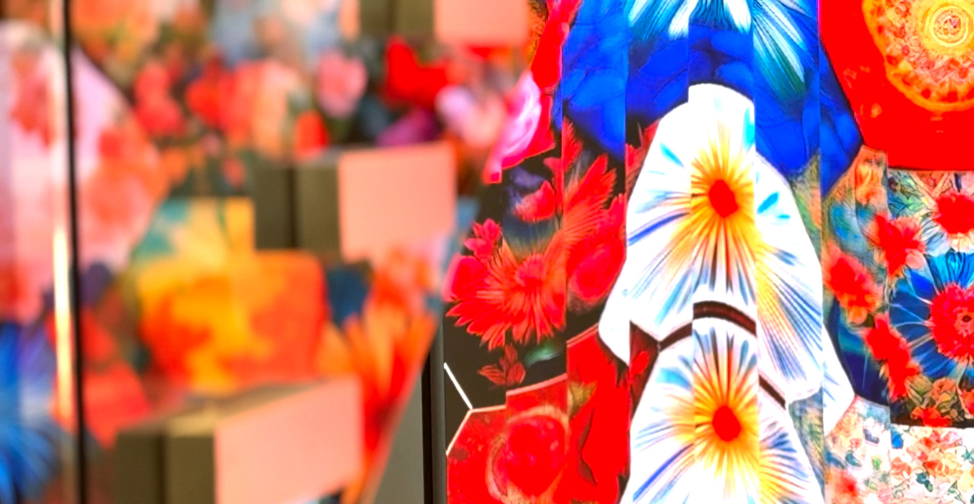 A group of colorful flowers.
