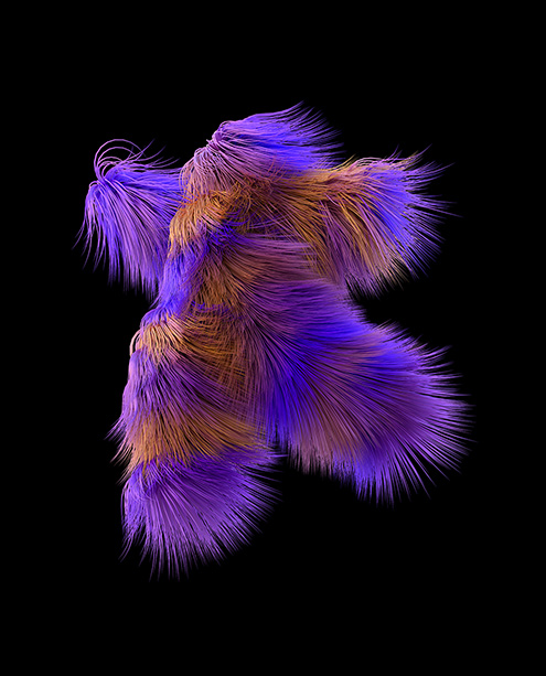 A furry animal with a long tail.
