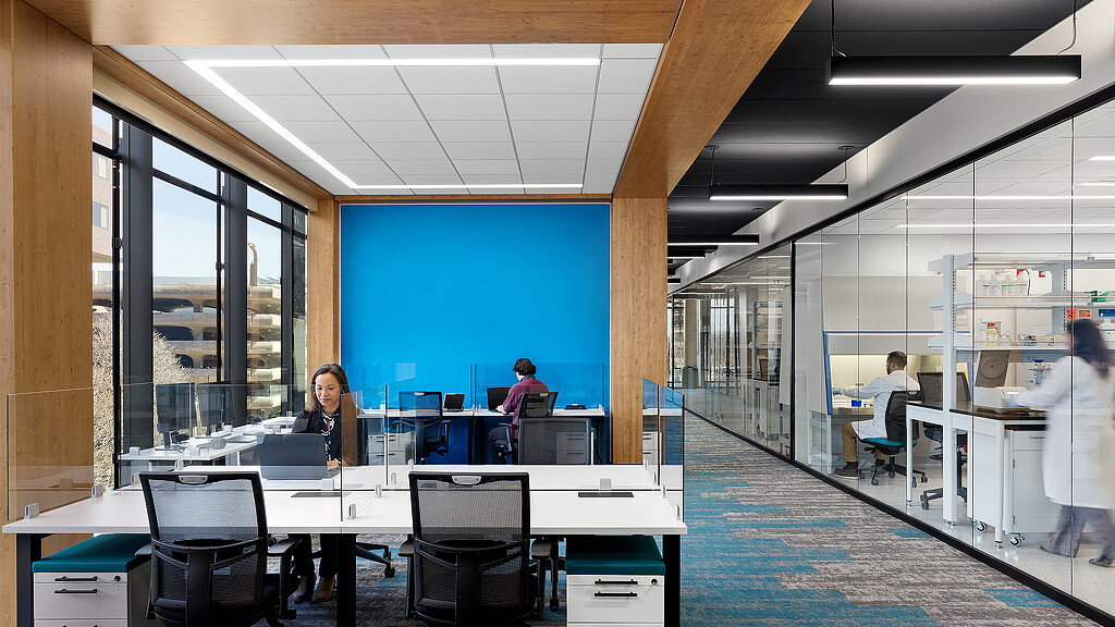 A group of people in an office.