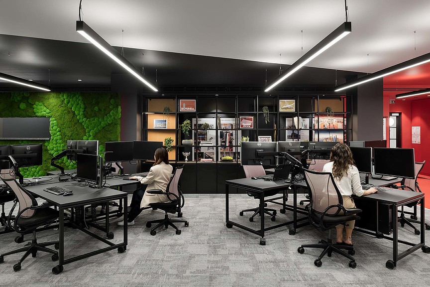 A few women working in an office.