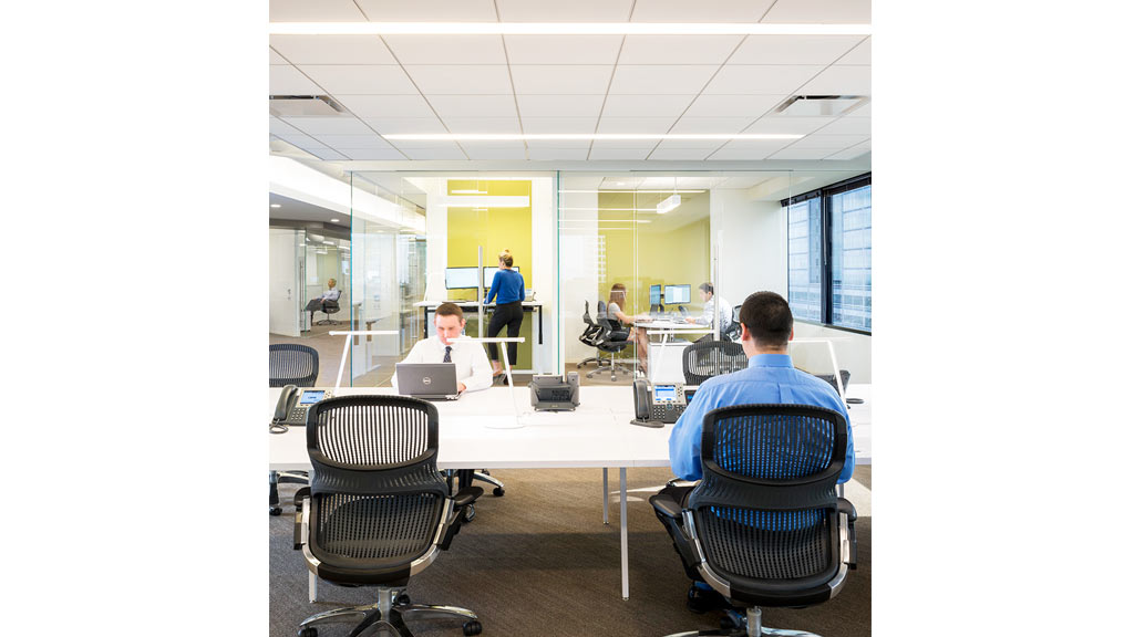 A group of people in an office.